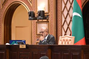 "މީޑިއާތައް ރެގިއުލޭޓުކުރާ ބިލުގެ ވާހަކަ އޮޅުވާލީ ނޫސްތަކުން"