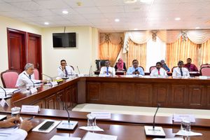 Customs provided inaccurate information to 241 committee