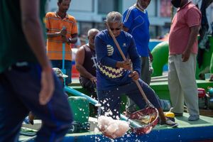 މަސްވެރިންގެ ދުވަސް ފާހަގަކުރަން މަސްރޭހެއް ބާއްވަނީ
