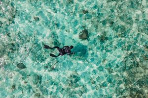 What will the UN high seas treaty mean for protecting the ocean?