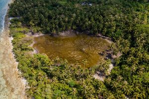 Islands to be leased for research and social purposes