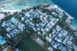 ބަންދުން ފިލި މީހަކު ތިން މަހަށް ޖަލަށްލާން ހުކުމްކޮށްފި 