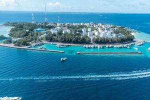 ސިނަމާލެ ހަތަރެއް އަމިއްލަ ކުރާ މީހުންގެ ޖޫރިމަނާ މައާފްކޮށްދީފި 