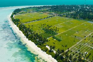 ތޮއްޑޫގައި އެމްއެންޔޫގެ އެގްރިކަލްޗާ ފެކަލްޓީއެއް ތަރައްގީކުރަނީ