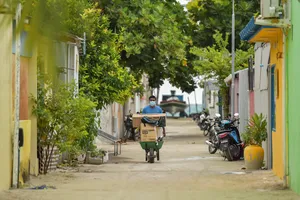ބިންތައް ސަރުކާރަށް ނެގުމާ ދެކޮޅު ޕެޓިޝަން ހާއްސަ ޕެޓިޝަނަކަށް