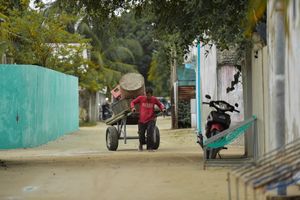 މޫދަށް ކުނި އަޅާތީ ތުލުސްދޫ ކައުންސިލް ޖޫރިމަނާކޮށްފި