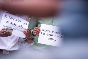 މަސްދަރު ބުނަން ކުރާ މަޖުބޫރު؛ ބާގަނޑުތަކުން ނުރައްކާ؟
