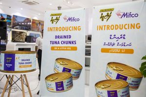 މިފްކޯގެ އަގުހެޔޮ މަސްދަޅު ވިއްކަން ފަށައިފި