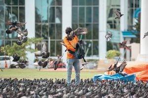 ކޮތަރުތަކަށް ބައްޔެއް ޖެހިފައިވާކަން ޓެސްޓުތަކުން ދައްކައިފި 