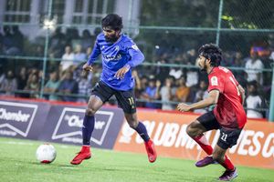 އެފްއެސްއެމް، ކަސްޓަމްސް އަދި ސްޓެލްކޯ އަށް މޮޅެއް