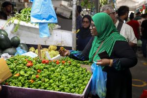 ބާޒާރުގައި މިރުހުގެ އަގު އަތް ނުފޯރާ ފަށުގައި