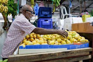 ކާބޯތަކެތި އިސްތިހާރު ކުރުމުގައި އިސްތިސްނާތަކެއް ހިމަނައިފި 