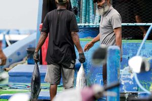 ބޮޑުކަންނެލި މަސްވެރިންނަށް އަދިވެސް ސަބްސިޑީ ހަމަނުޖެހޭ 