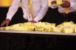 ކޮންގްރެސްގެ އިސްލާހުތަކަށް ހާމަ ވޯޓެއް ނަގަން ފާސްކޮށްފި