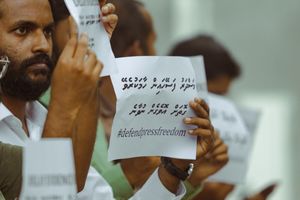 މަސްދަރު ހާމަކުރަން އެންގޭ ގޮތަށް ހެކީގެ ބިލު ތަސްދީގުކޮށްފި