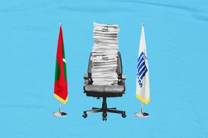 އެސްއޯއީތަކަށް އިންފޮމޭޝަން އޮފިސަރުން އައްޔަނުކުރަން އަންގައިފި