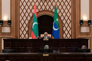 މަޖިލީހުގެ ރިޔާސަތުން ތަފާތުކުރުން: މައުލޫއަށް ނުފެތުނީ އިދިކޮޅު