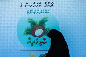 ޗަމްޕާ ބްރަދާސްއިން ހަދިޔާކުރި ކާށި، ފިޔާ އަދި ކަރާ ބެހުން މިރޭ