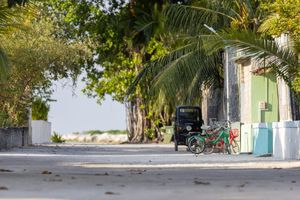 ބަނދަރުތަކުން ގޮއިފުޅަފެހެންދޫއަށް އިގުތިސާދީ ދިރުން!