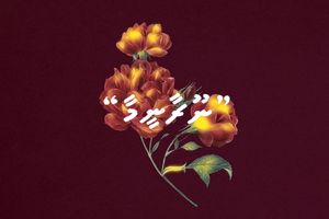 ދިވެހި އަދަބިއްޔާތުގައި "ނޫރާނީމާ"