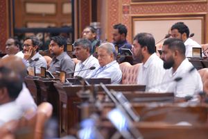 އޭސީސީގެ ނައިބު ރައީސަށް އައްޔަނު ކުރަން އެހެން ބޭފުޅެއްގެ ނަން