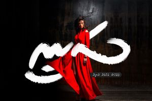 ދިގުވާހަކަ: ސަނީ