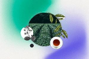 ވާގޮތް: ސައިބުއިމުގެ އާދަކާދަ ފެށުނު ގޮތް!