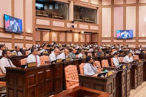 އިލެކްޓްރޯނިކް ޕެޓިޝަން ނިޒާމު ތައާރަފުކޮށްފި