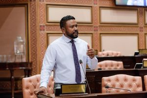 ޓެރަރިޒަމްގެ ދައުވާ ސާބިތު ނުވާނެ: މުހައްމަދު އިސްމާއިލް