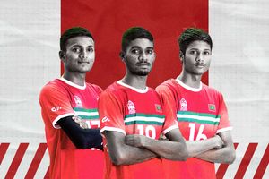 މާއިޝް، ނާފިއު އަދި ޝާމިލްގެ ބޭނުން މުސްތަގުބަލުގައި ހިފޭނެ!