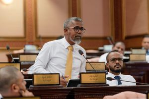 ވީއައިޕީ ޓާމިނަލް ދޭން އުޅޭތީ ހުށަހެޅި މައްސަލަ ބަލައިނުގަތް