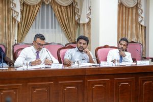 ސިޔާސީ ބޭނުމަށް އިންވެސްޓަރުން ބޭރުކުރުމުގެ ނަތީޖާ ރަނގަޅެއް ނޫން