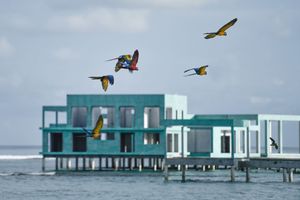 ވޯޓާ ތީމް ޕާކަށް ކުރާ އިންތިޒާރަށް އިތުރު ދޮޅު އަހަރު!