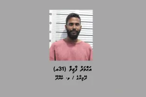 މަސްތުވާތަކެތި ވިޔަފާރިކުރާ ކަމުގެ ތުހުމަތުގައި ފާޒިލް ހައްޔަރަށް