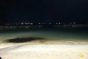 Rasfannu closed again as oil spill contaminates the water