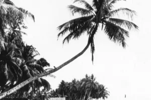 އާބާދީ 60: އަންނަން އޮތް ޖީލުތަކަށް އަޅުގަނޑުމެން ދޫކުރާ ތާރީހު