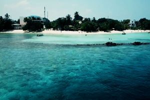 ހަމައެއް އުސޫލެއް ނެތް ތުލުސްދޫ މޫދު; ބޮޑު ނުރައްކަލެއް
