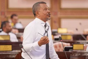 ފޭކު ސަނަދު ދޫކުރުމާއި ގެންގުޅުމަކީ ޖިނާއީ ބޮޑު ކުށަކަށް ހަދަނީ