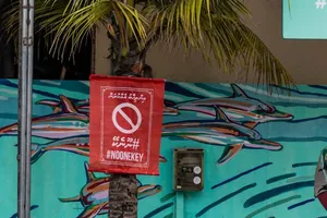 ނޫނެކޭ ބުނަންވީ ގާނޫނުއަސާސީގެ ސަތޭކަ އެގާރައިގެ ދިފާއުގައި!