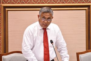 "އަޅުގަނޑުގެ އެކަނި ނިންމުމެއް ނަމަ ހިޔާ ފްލެޓްތައް ތަޅާލާނަން"