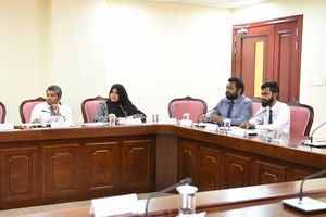 މަސްދަރު ހާމަކުރަން މަޖުބޫރުވާ މާއްދާ އުވާލަން އެދިއްޖެ