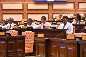 މަޖިލީހަށް ދެ ގަރާރެއް ބަލައިގަނެ، ކޮމިޓީއަށް ފޮނުވައިފި