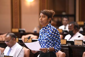 ހުލާސާކޮށް މަޖިލިސް: ބޯހިޔާވަހިކަމުގެ މަޝްރޫއުތަކުގެ މައުލޫމާތު