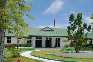 ހާލު ދެރަވެގެން އާއިލާއާ ހަވާލުކުރި ގައިދީ މަރުވެއްޖެ