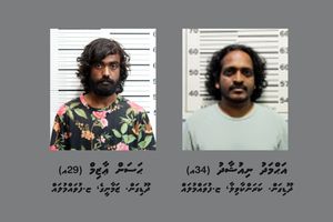 ފުވައްމުލަކު މަސްތުވާތަކެތީގެ ނެޓްވޯކުގެ ދެ ބޮޑުން ސަލާމަތްވެއްޖެ