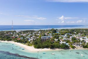 ތުލުސްދޫ ކުނި ކޮށީގައި ރޯވެ އަނދަނީ