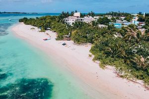 ހިންމަފުށީގައި ހަމަނުޖެހުން ހިންގި ފަސް މީހަކު ހައްޔަރު ކޮށްފި
