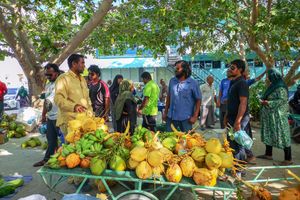 "ހޮނިހިރު ބާޒާރުގައި ވިޔަފާރި ކުރެވޭނީ ހޮނިހިރު ދުވަހު އެކަނި"