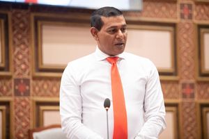 ސިޔާމު ނޫސްވެރިންނަށް ބިރު ދެއްކި މައްސަލަ މަޖިލީހަށް