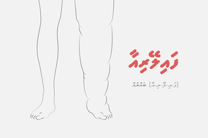 ފައިލޭރިއާއަށް ސްކްރީން ކުރަން ގައުމީ ކެމްޕޭނެއް ފަށަނީ